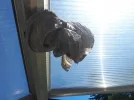 20180702_104101.webp