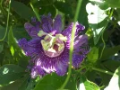 20180701_135351.webp