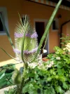 20180704_104301-864x1152.webp