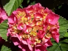 20180701_135548.webp