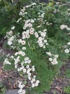 20180704_170539.webp
