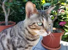 20180705_100540.webp