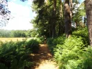 DSCF9341 (2).webp