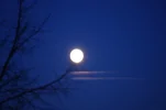 The Moon (2).webp