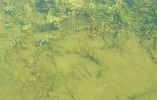 DSCF9371 (3).webp