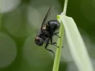20130520_124113.webp