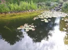 20180707_092409-1843x1382.webp