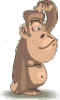 affen-006.gif