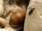 20180525_091156.webp