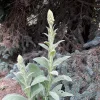 20180708_114845.webp