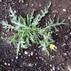 20180708_114947.webp
