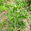 20180708_115135.webp