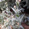 20180708_121722.webp