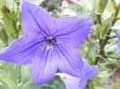 20180707_174712.webp