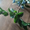 20180708_185622.webp