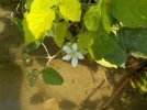 DSCN3984.webp