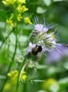 P1320730.webp