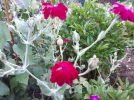 20180709_070329.webp