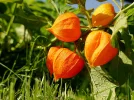 20140907_142900.webp