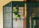 IMG_20180709_0753464.webp