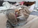 20180709_151648.webp