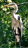 DSC01578a.webp
