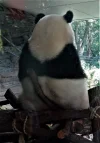 DSC01855a.webp