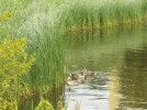 DSCF9284 (2).webp