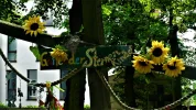 DSC01915.webp