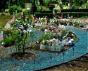 DSC01929a.webp