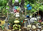 DSC01930a.webp