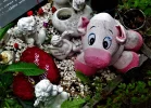 DSC01934a.webp
