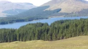 Schottland und Garten 110.webp