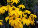 20180712_063606.webp