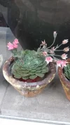20180708_101803.webp