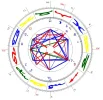 Jesus Salomonsiegel.webp
