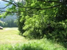 IMG_2733.webp