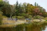 IMG_20171030_024639.webp