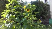 20180715_080141.webp