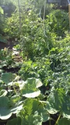 20180715_075855.webp