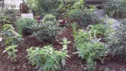 20180715_080628 (1).webp