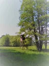 beobachten.webp