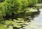 DSCF9276 (3).webp