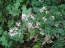 DSC01012.webp