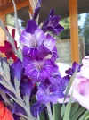 20180715_090427.webp