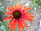 20180714_160751.webp