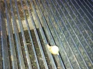 20180717_200040.webp