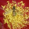 Garten, 25.7.2016 001.webp