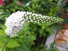 20180711_095909.webp