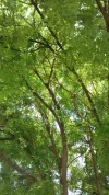 20180721_145816.webp